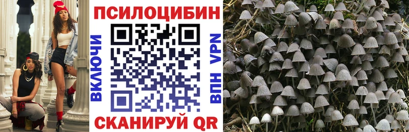 Псилоцибиновые грибы Cubensis  Кумертау 